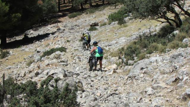 10509636_690036267699062_5214429342547773570_n