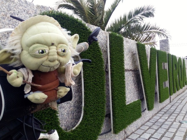 IMG_20170102_121532_388